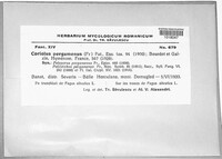 Image Associated With the Occurence